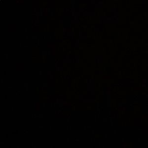 Meet your Posher, Nia